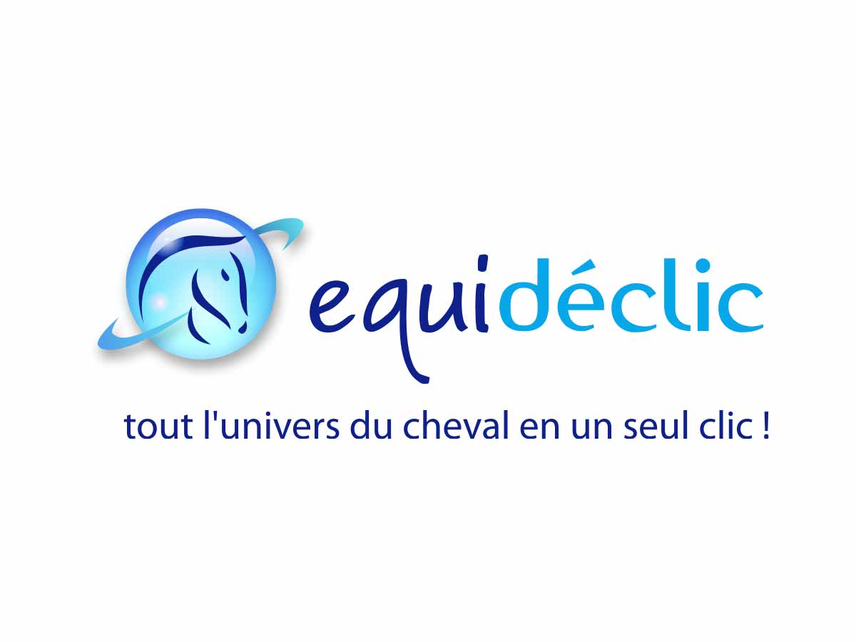 Logo Equidéclic