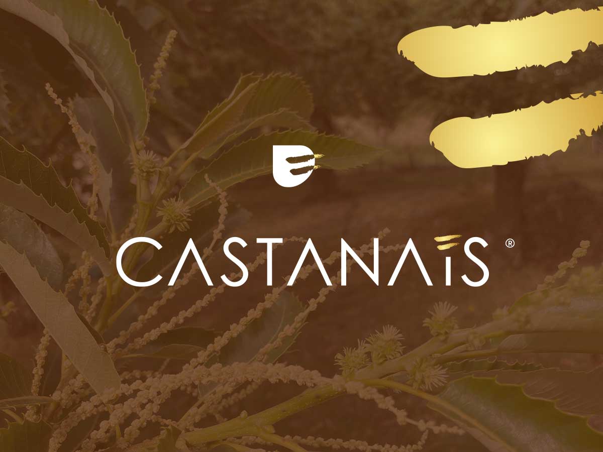 logo castanais