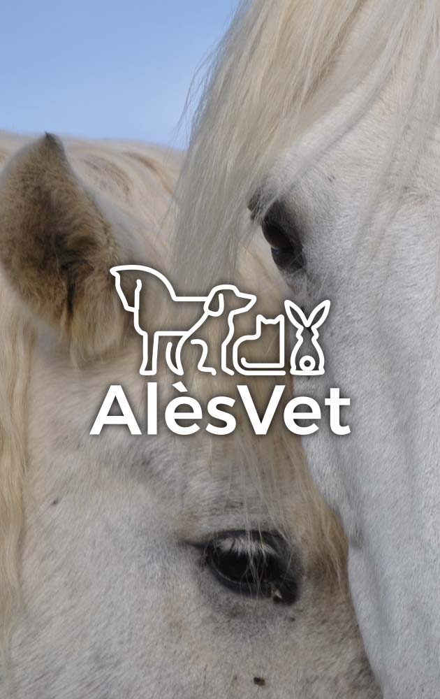 logo AlèsVet