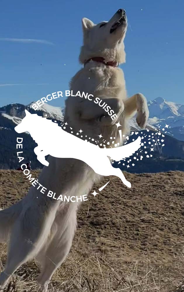 logo-comete-blanche