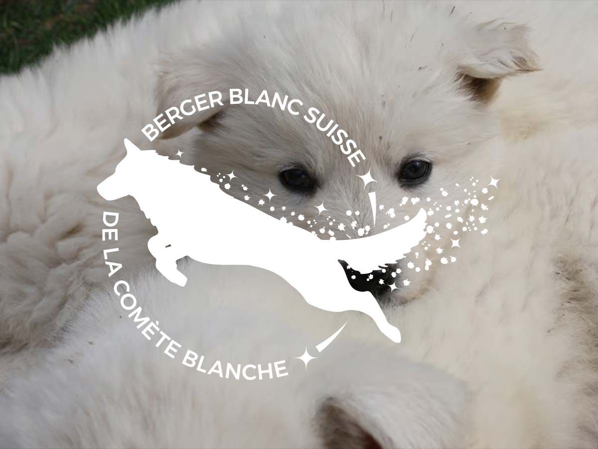 logo-delacometeblanche-chiots